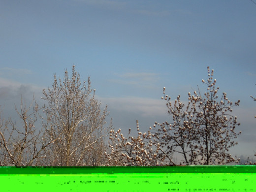 33249 (a): :1280x960